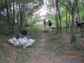 /album/fotogaleria/img-0552-jpg1/