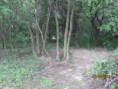 /album/fotogaleria/img-0554-jpg1/
