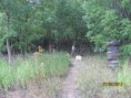 /album/fotogaleria/img-0558-jpg1/