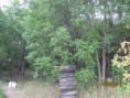 /album/fotogaleria/img-0560-jpg1/