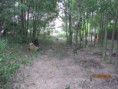 /album/fotogaleria/img-0563-jpg1/